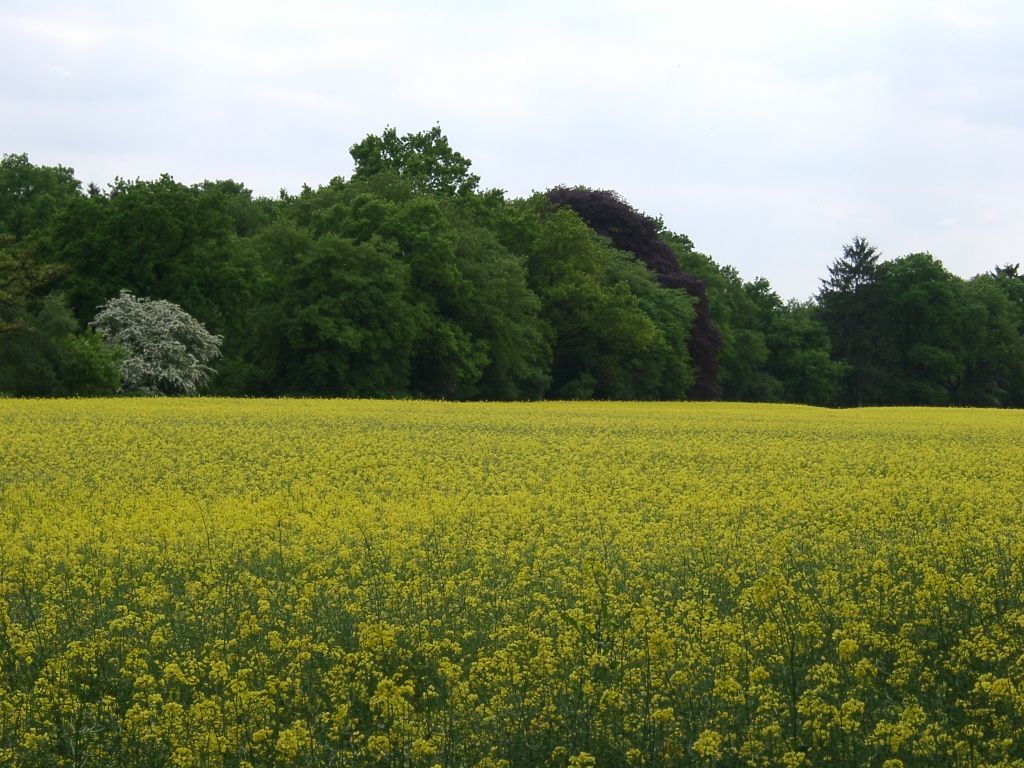 Breitscheid-Karte-1.jpg