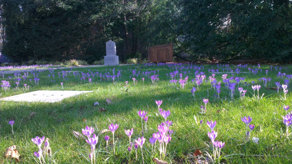 Jüdischer-Friedhof-Werdener-Straße-Foto-M.Fiene-06.03.14-001.jpg